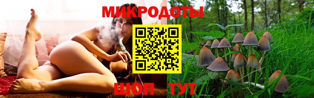Псилоцибиновые грибы MAGIC MUSHROOMS  Галлюциногенные грибы Cubensis  Вичуга  Вход с VPN 